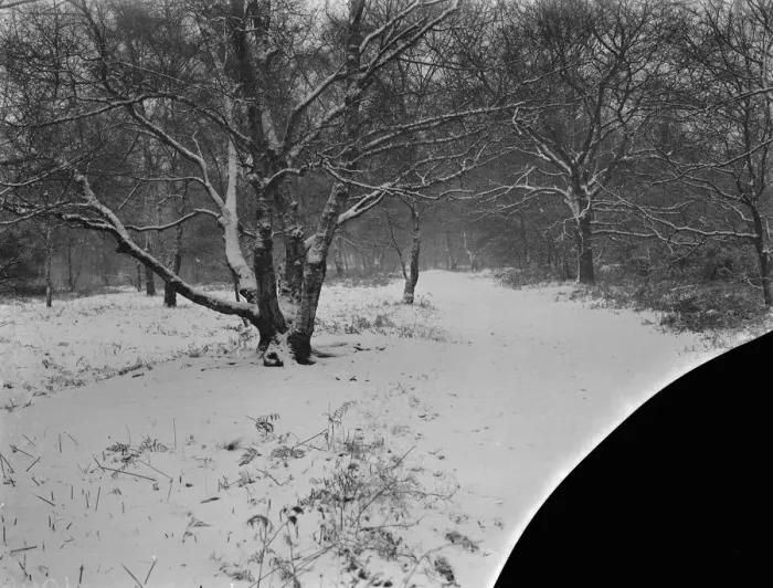 Framed Print : Snow scenes in Chislehurst, Kent. 26 December 1938 Framed Print : Snow scenes in Chislehurst, Kent. 26 December 1938