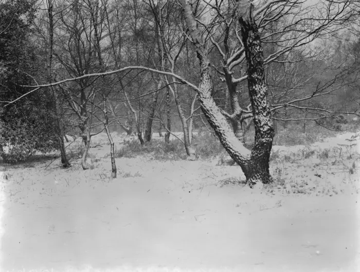 Framed Print : Snow scenes in Chislehurst, Kent. 26 December 1938 Framed Print : Snow scenes in Chislehurst, Kent. 26 December 1938