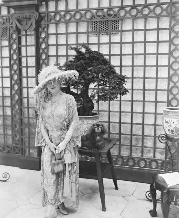 Framed Print : Society garden party at Lady Hultons residence. Lady Alexander and her pet dog Framed Print : Society garden party at Lady Hultons residence. Lady Alexander and her pet dog