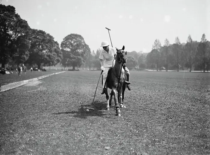 Framed Print : The Southdown Ladies Polo Club. In play on the Royal Artillery ground at Preston Park Framed Print : The Southdown Ladies Polo Club. In play on the Royal Artillery ground at Preston Park