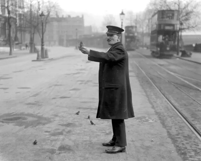 Framed Print : Sparrows friend, Embankment. 8 April 1920 Framed Print : Sparrows friend, Embankment. 8 April 1920