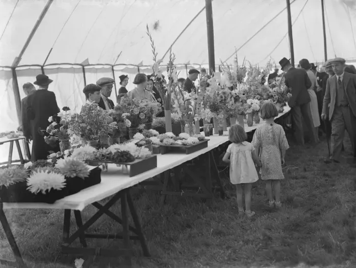 Framed Print : The Spring Flower Show at Longfields, Kent. 1939 Framed Print : The Spring Flower Show at Longfields, Kent. 1939