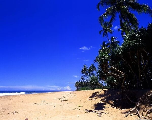 Sri Lanka. Beach to north of Galle