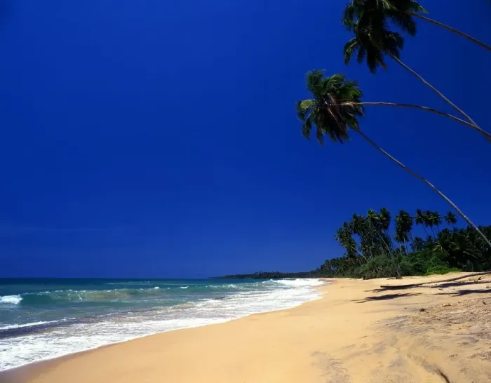 Framed Print : Sri Lanka Koskoda Beach Framed Print : Sri Lanka Koskoda Beach