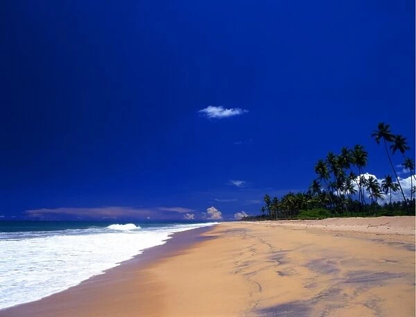 Sri Lanka. Tropical beach to the north of Galle and south of Koskoda
