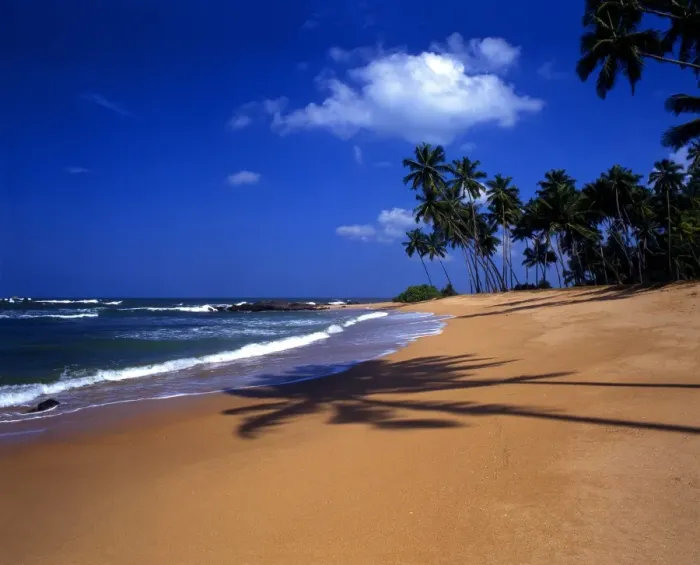 Framed Print : Sri Lanka Weligama Beach Weligama is a famous beach resort in the south of Sri Lanka Framed Print : Sri Lanka Weligama Beach Weligama is a famous beach resort in the south of Sri Lanka
