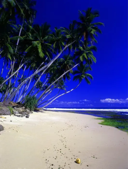 Framed Print : Sri Lanka Weligama Beach Weligama is a famous beach resort in the south of Sri Lanka Framed Print : Sri Lanka Weligama Beach Weligama is a famous beach resort in the south of Sri Lanka