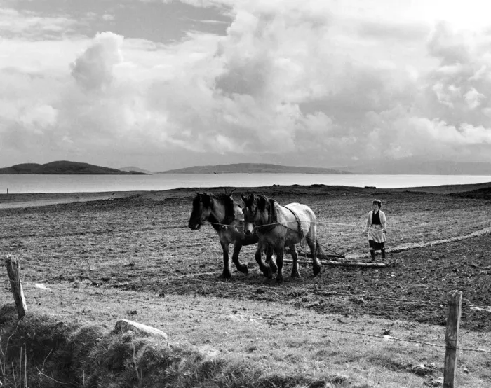 Framed Print : Start of the spring cultivations in the Hebrides. Spring is late this year - in Framed Print : Start of the spring cultivations in the Hebrides. Spring is late this year - in