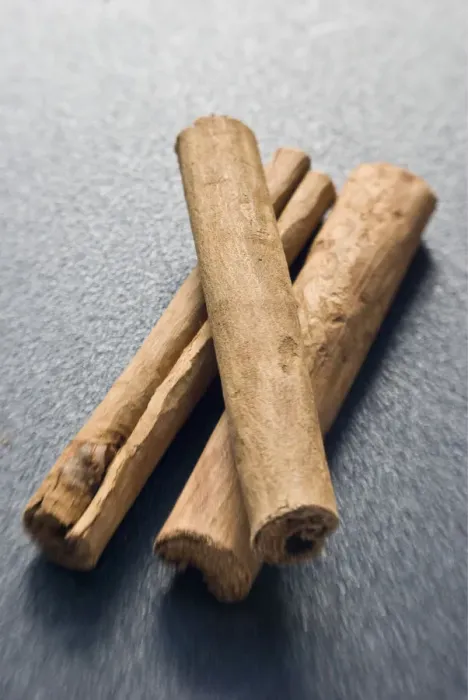 Framed Print : Sticks of cinnamon credit: Marie-Louise Avery / thePictureKitchen / TopFoto Framed Print : Sticks of cinnamon credit: Marie-Louise Avery / thePictureKitchen / TopFoto