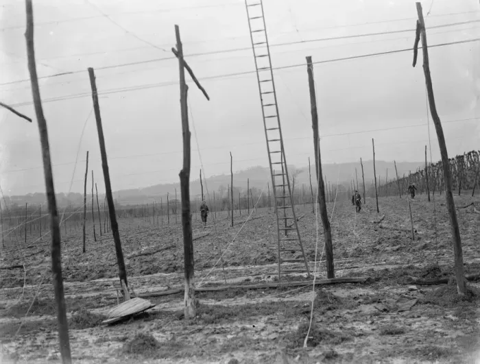 Framed Print : The stringing of the hop poles. 1937