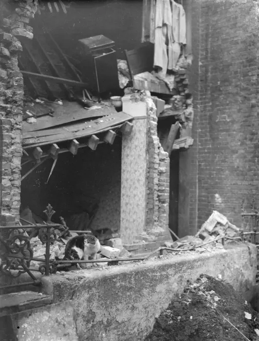 Framed Print : Survivor amid the ruins. London house wrecked by explosion. One man, John Clancy