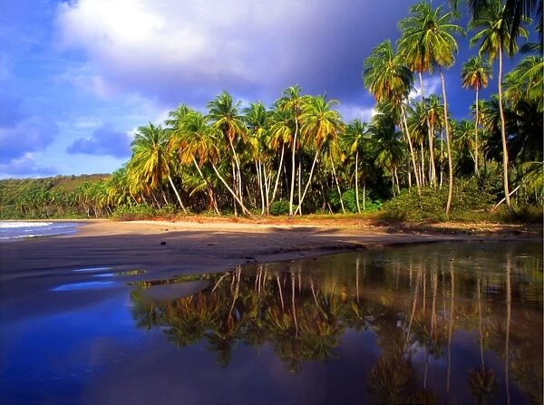 T4. 041 West Indies. Grenada. La Sagesse beach. La Sagesse Beach is found