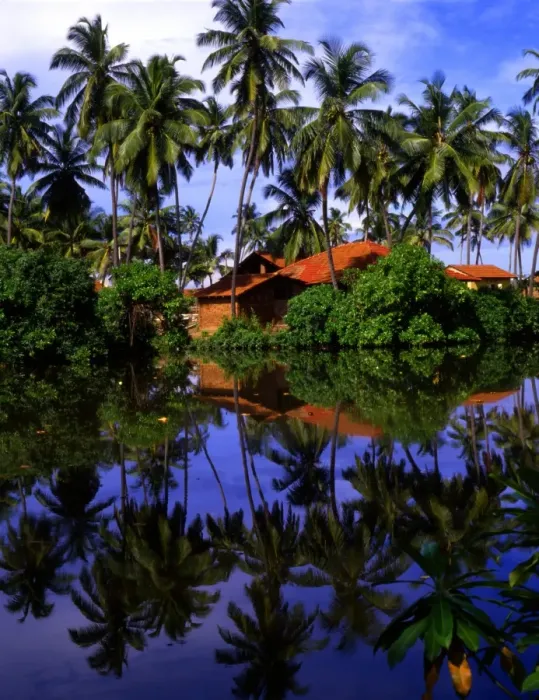 Framed Print : T4. 07 Sri Lanka. Nogombo Framed Print : T4. 07 Sri Lanka. Nogombo