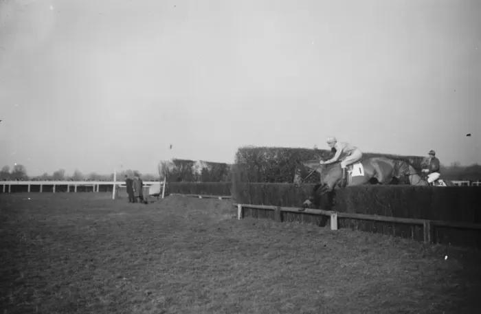 Framed Print : Taffetus ( National Horse ) with J Leader up. 1 January 1927