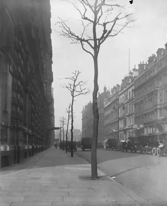 Framed Print : Taken for Mr Eric Fraser Northumberland Avenue 17 April 1926