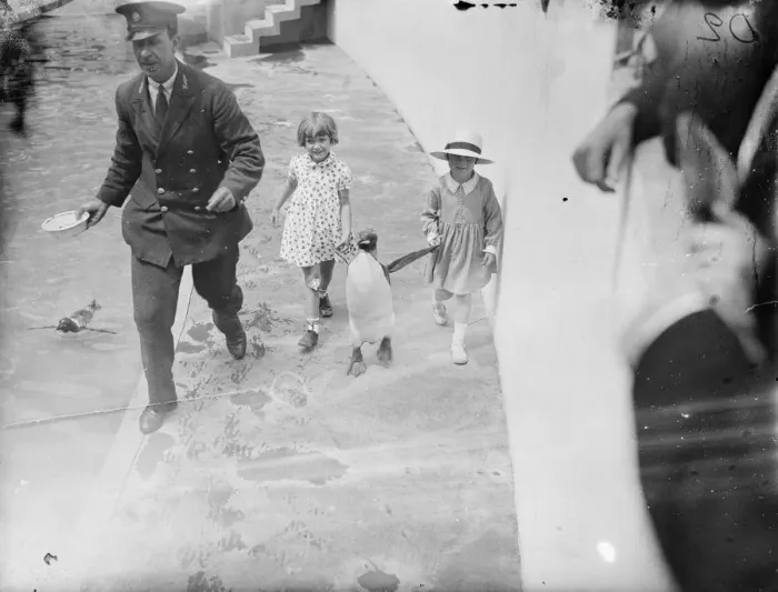 Framed Print : Taking the penguin to lunch. Two little visitors to the London Zoo taking a penguin