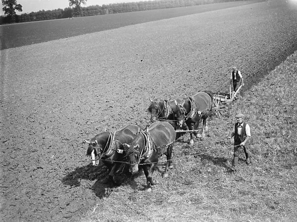 A team of four houses ploughing a large field in Kent. 1935