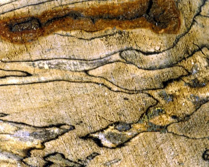 Framed Print : Texture - abstract