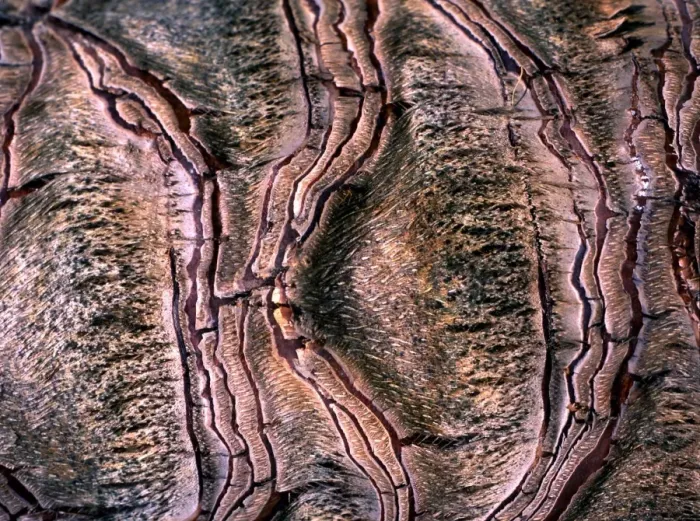 Framed Print : Texture - abstract Framed Print : Texture - abstract