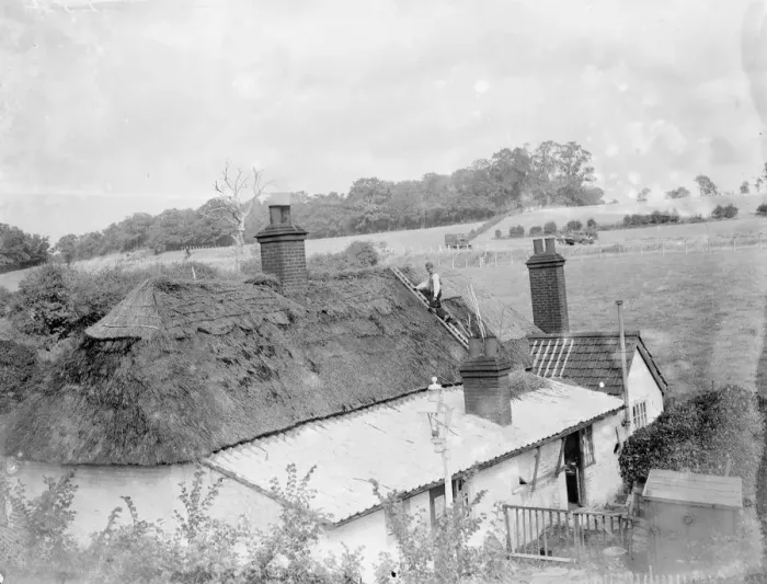 Framed Print : Thatching Perry Street cottages. 1935
