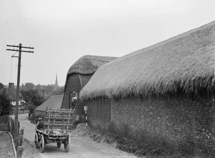 Framed Print : Thatching a roof in Eynsford. 1935 Framed Print : Thatching a roof in Eynsford. 1935