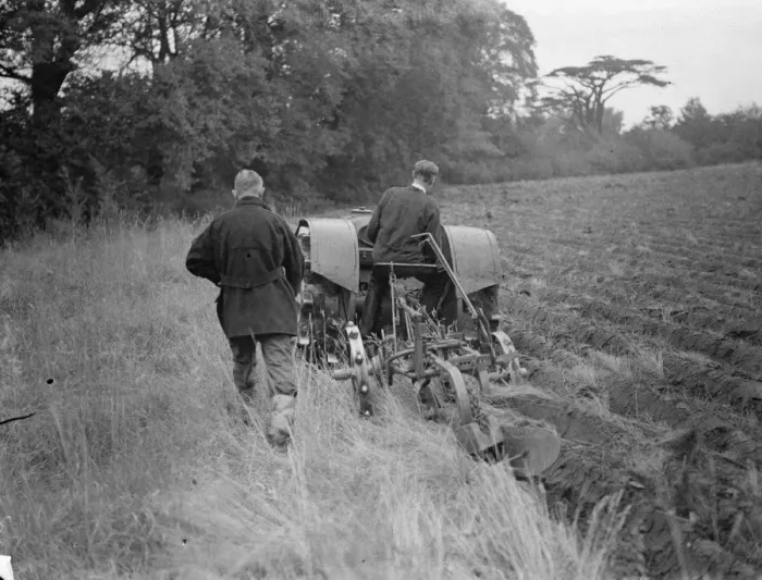 Framed Print : A tractor ploughing a cherry orchard in Charlton, London. 1939 Framed Print : A tractor ploughing a cherry orchard in Charlton, London. 1939