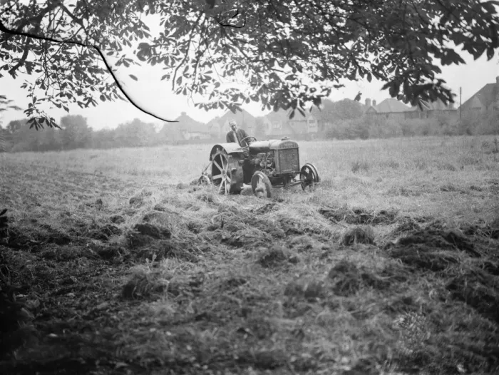 Framed Print : A tractor ploughing a cherry orchard in Charlton, London. 1939 Framed Print : A tractor ploughing a cherry orchard in Charlton, London. 1939
