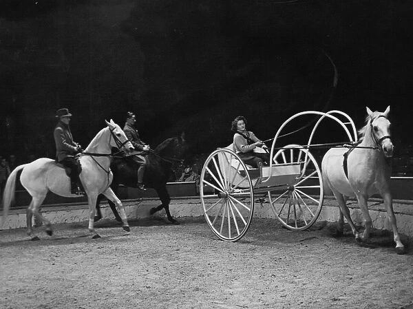 Trainer and horses rehearsing before a show at the Olympia Circus, London, England