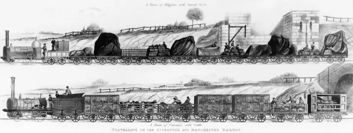 Framed Print : Travelling on the Liverpool and Manchester Railway A train of carriages with cattle