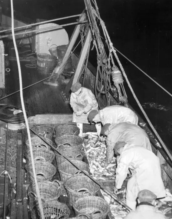 Framed Print : Trawlermen in the North Sea Fish where the fish are Framed Print : Trawlermen in the North Sea Fish where the fish are