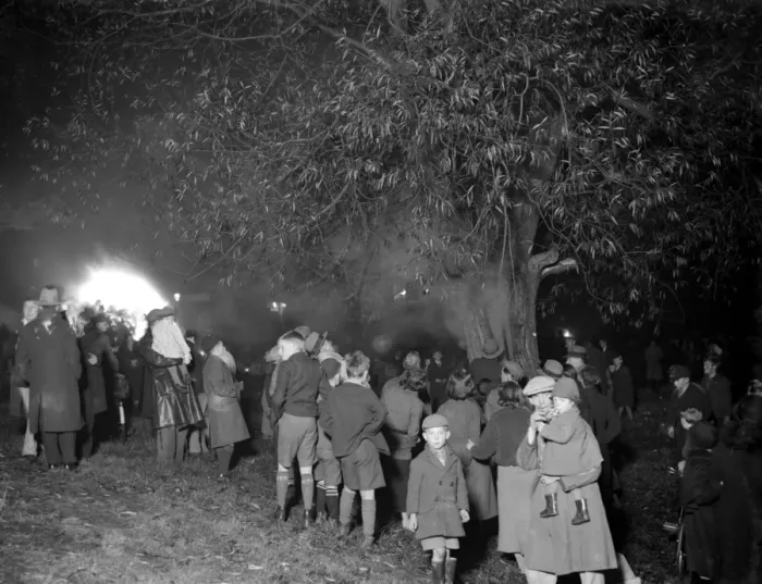 Framed Print : Tree fire in Chislehurst, Kent. 5 November 1934 Framed Print : Tree fire in Chislehurst, Kent. 5 November 1934