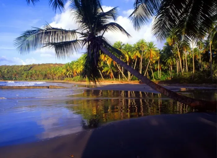Framed Print : Tropical. 4 042. Grenada. La Sagesse beach Framed Print : Tropical. 4 042. Grenada. La Sagesse beach