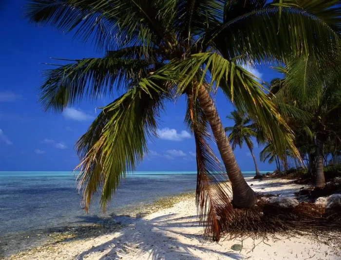 Framed Print : Tropical beauty Laccadives [Lakshadweep] Islands. Bangaram
