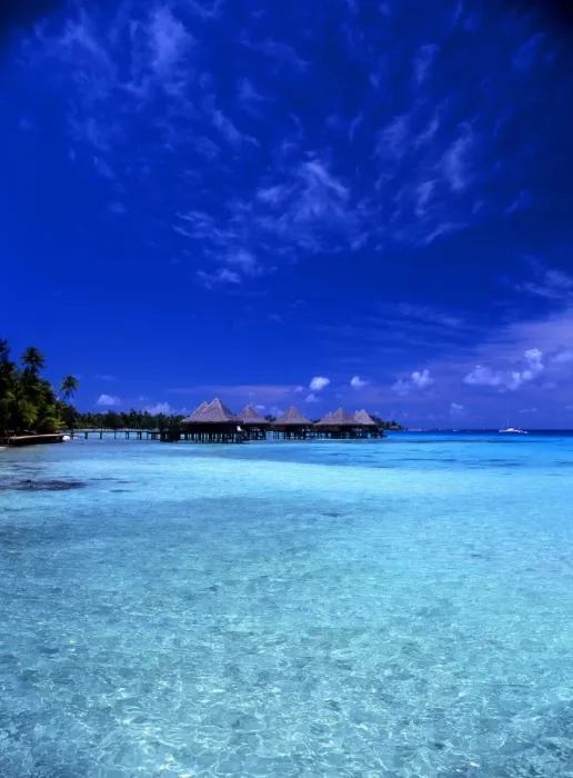 Framed Print : Tropical beauty. Polynesia. Rangiroa