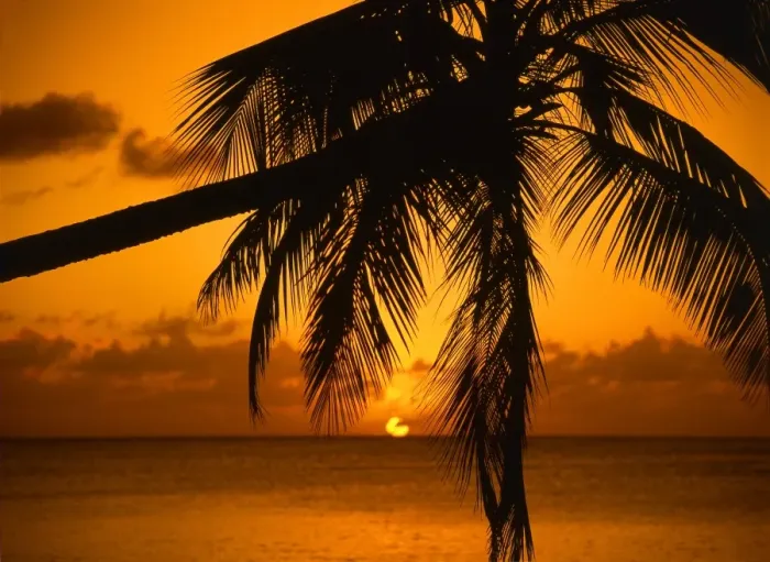 Framed Print : Tropical beauty. West Indies. Antigua. Sunset in Antigua Framed Print : Tropical beauty. West Indies. Antigua. Sunset in Antigua