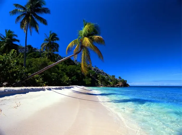Framed Print : Tropical beauty. West Indies. Antigua. Galley Bay Framed Print : Tropical beauty. West Indies. Antigua. Galley Bay