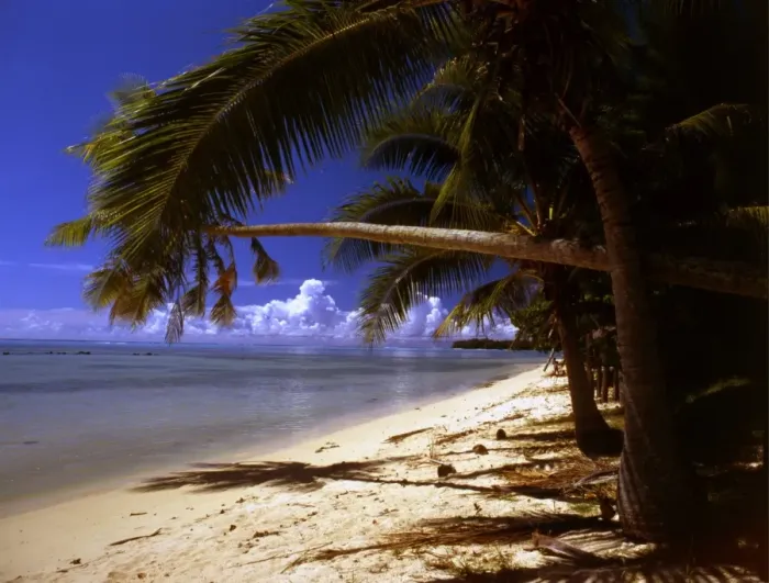 Framed Print : Tropical Island Framed Print : Tropical Island