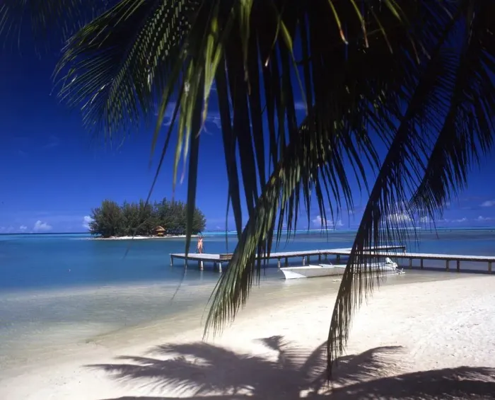 Framed Print : TROPICAL ISLANDS French Polynesia. Beach scene on Morea, off Tahiti Framed Print : TROPICAL ISLANDS French Polynesia. Beach scene on Morea, off Tahiti