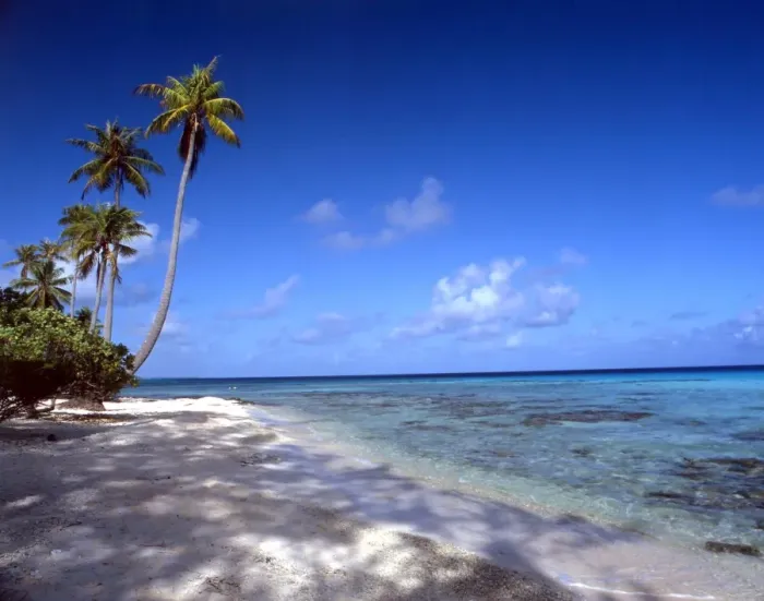 Framed Print : TROPICAL ISLANDS French Polynesia. Beach at Rangiroa Framed Print : TROPICAL ISLANDS French Polynesia. Beach at Rangiroa