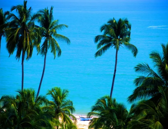 Framed Print : Tropics. Malaysia. Penang Framed Print : Tropics. Malaysia. Penang