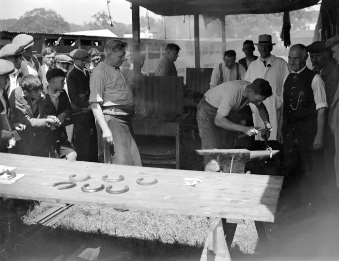 Framed Print : Tunbridge Wells Show. Shoeing class. 1934 Framed Print : Tunbridge Wells Show. Shoeing class. 1934