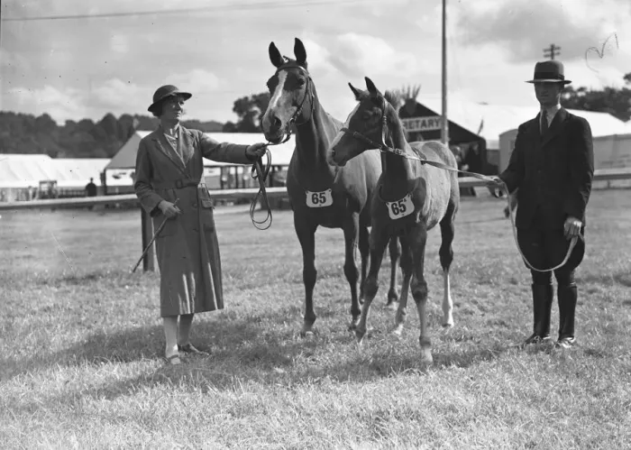 Framed Print : Tunbridge Wells and South Eastern Counties Show Captain and Mrs V Morse with their Framed Print : Tunbridge Wells and South Eastern Counties Show Captain and Mrs V Morse with their