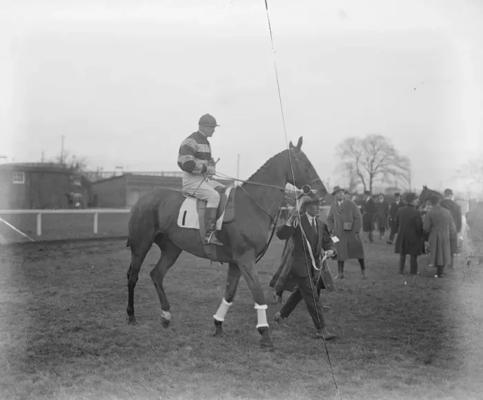 Framed Print : Turkey Buzzard, one of the Grand National candidates. 13 March 1923