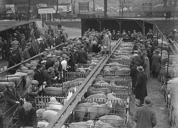 A Typical Market Scene Sevenoaks christmas fat stock show 14 December 1931