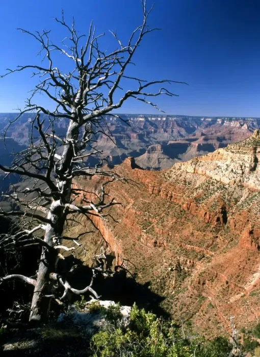 Framed Print : USA - Arizona - Grand Canyon - ?TopFoto / CW Framed Print : USA - Arizona - Grand Canyon - ?TopFoto / CW