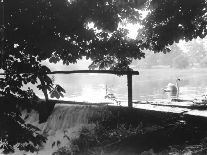 Framed Print : A view of the cascading waterfall at Lullingstone Park in Kent. 25 Mat 1937 Framed Print : A view of the cascading waterfall at Lullingstone Park in Kent. 25 Mat 1937