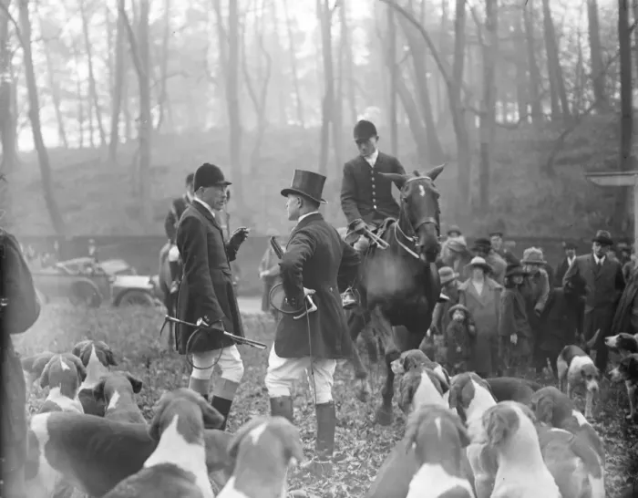 Framed Print : Viscount Lascelles out with his hounds Viscount Lascelles, the master at the meet