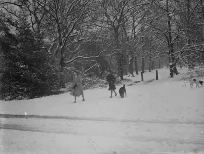 Framed Print : Walkers and their dogs enjoy the snow on Chislehurst Common, Kent. 1936