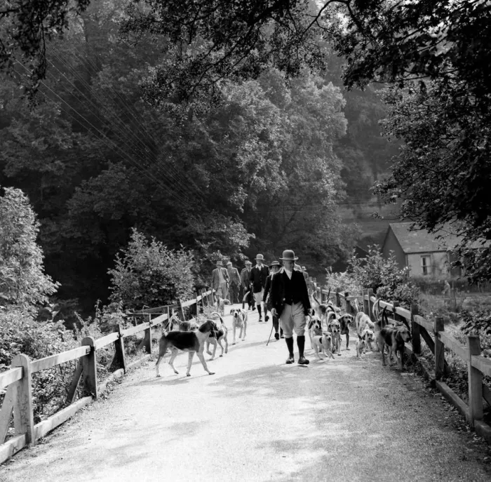 Framed Print : Walking the hounds TopFoto Framed Print : Walking the hounds TopFoto