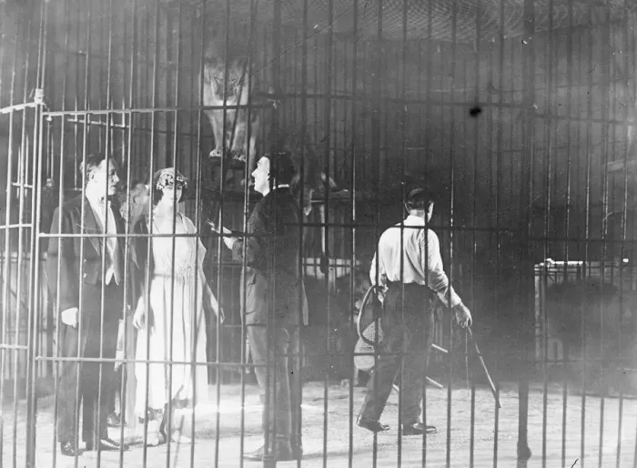 Framed Print : Wedded among the Lions This photograph just received from New York shows Miss Mae Stoller Framed Print : Wedded among the Lions This photograph just received from New York shows Miss Mae Stoller